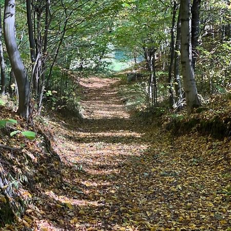 Siedlisko Wyzne Villa Buitenkant foto