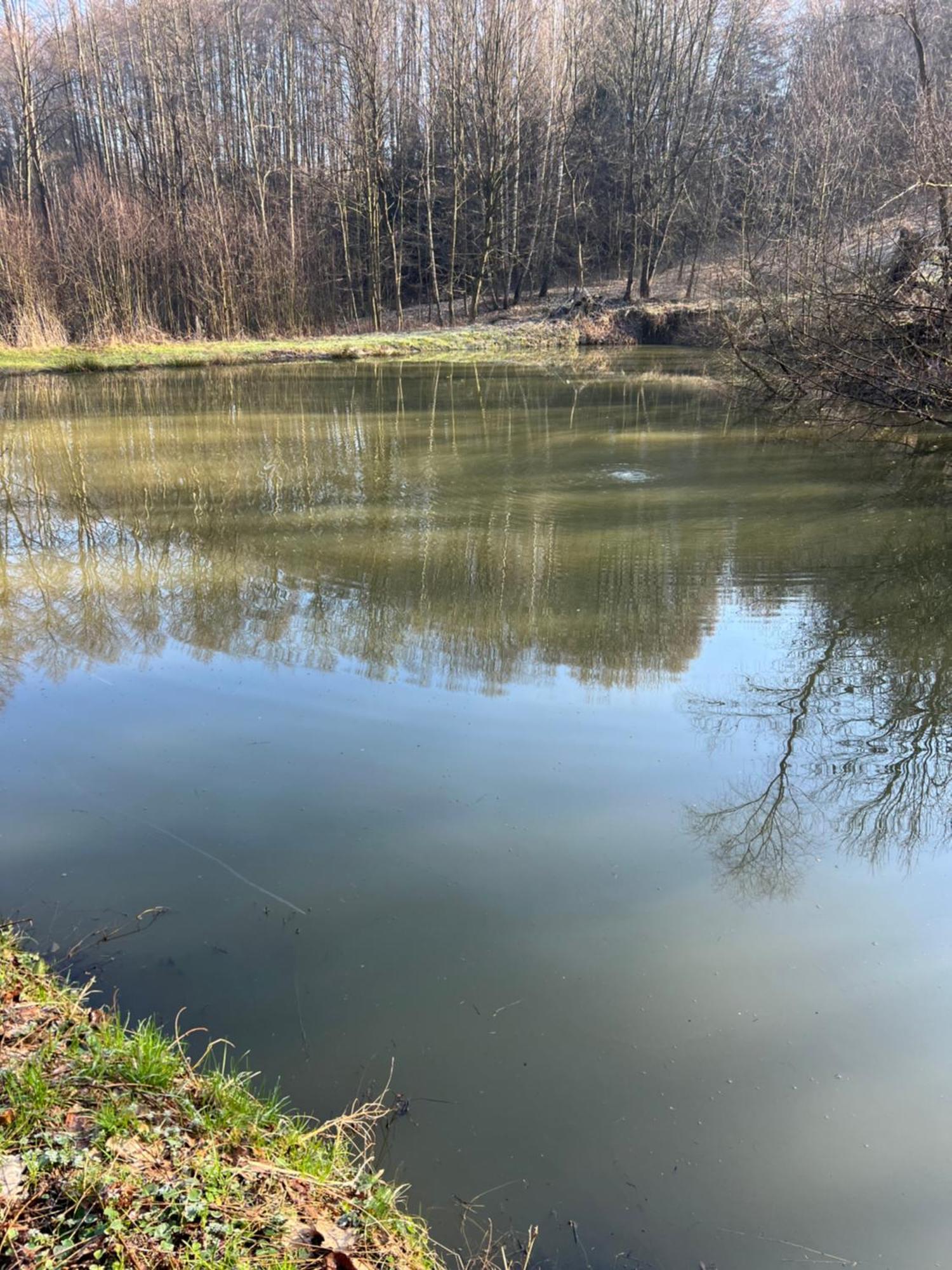 Siedlisko Wyzne Villa Buitenkant foto